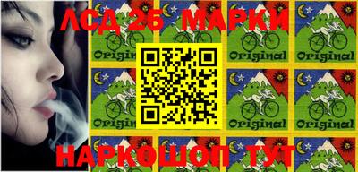 ГАЛЛЮЦИНОГЕННЫЕ ГРИБЫ Можга
